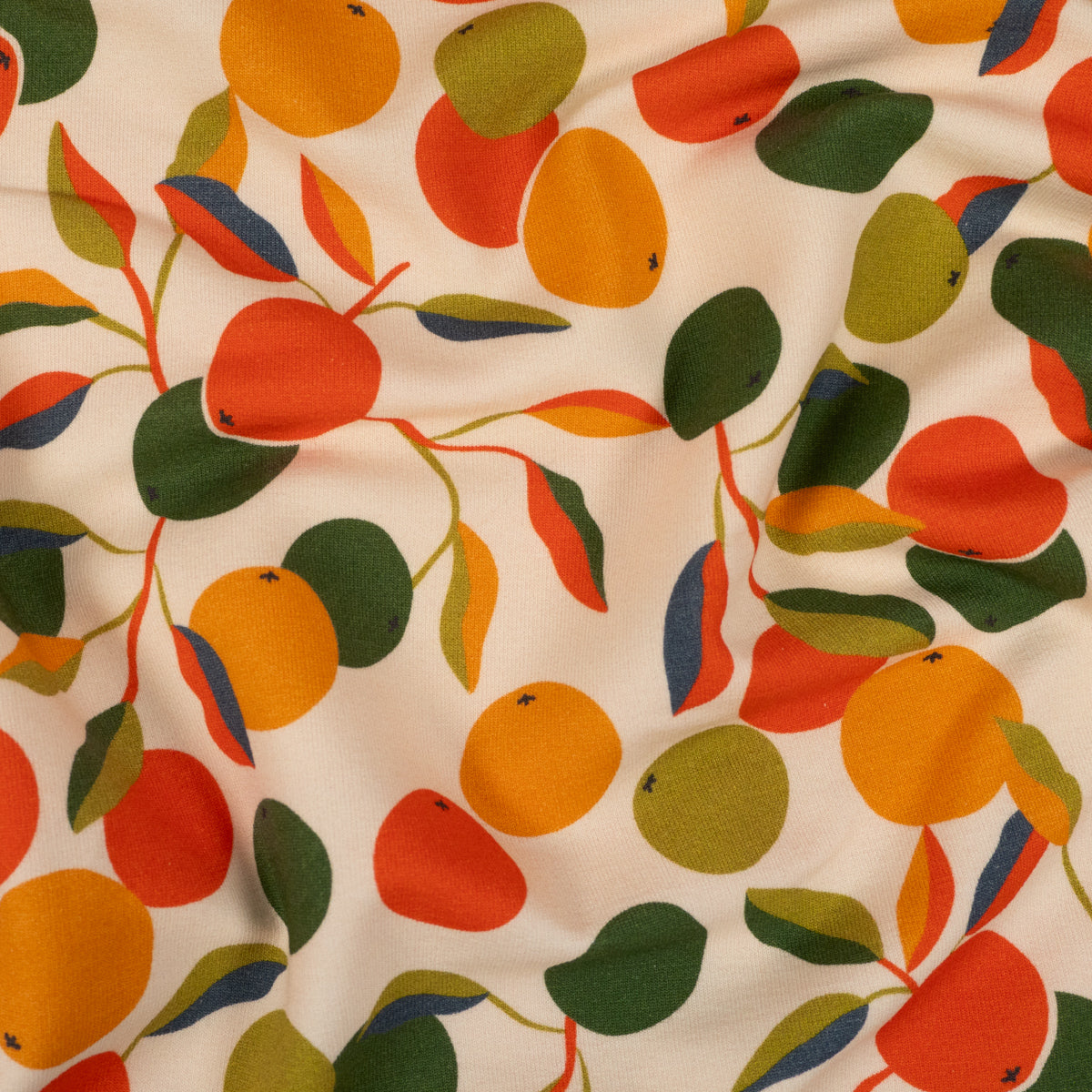 French terry été agrumes fruits motifs